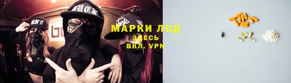 гидра Костерёво