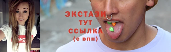 гидра Костерёво
