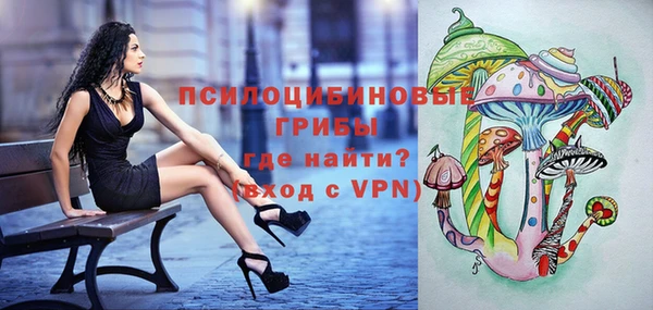 мяу мяу кристалл Коряжма