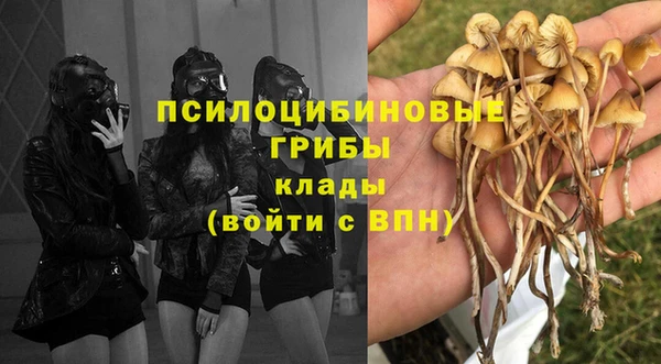 Альфа ПВП Корсаков