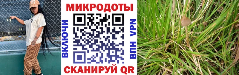 Псилоцибиновые грибы Psilocybine cubensis  ОМГ ОМГ маркетплейс  Котовск 