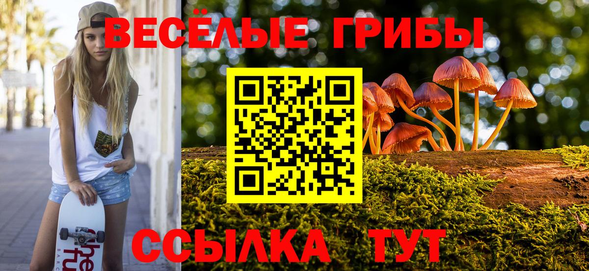 Псилоцибиновые грибы ЛСД  Вход с VPN  Котовск  Галлюциногенные грибы мухоморы 